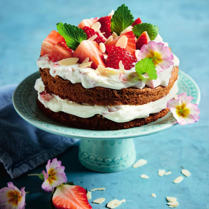 Low Carb Kuchen aus dem Thermomix® – zuckerfrei & unwiderstehlich lecker