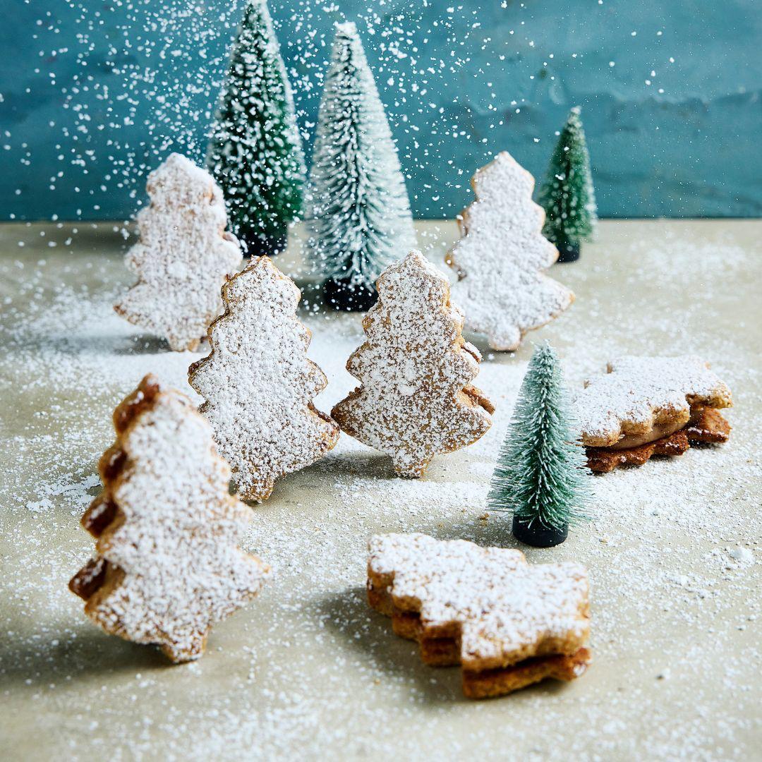 Winterlieblinge Band 2: Zuckerfreie Weihnachten mit Thermomix®*-optimierten Rezepten