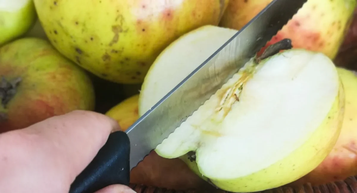 Rezept Apfelmus im Thermomix® mit Schale zuckerfrei selbst machen von fitgemixt