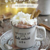 Zuckerfreies Kakao Thermomix Rezept aus dem Buch Winterlieblinge im fitgemixt Onlineshop erhältlich